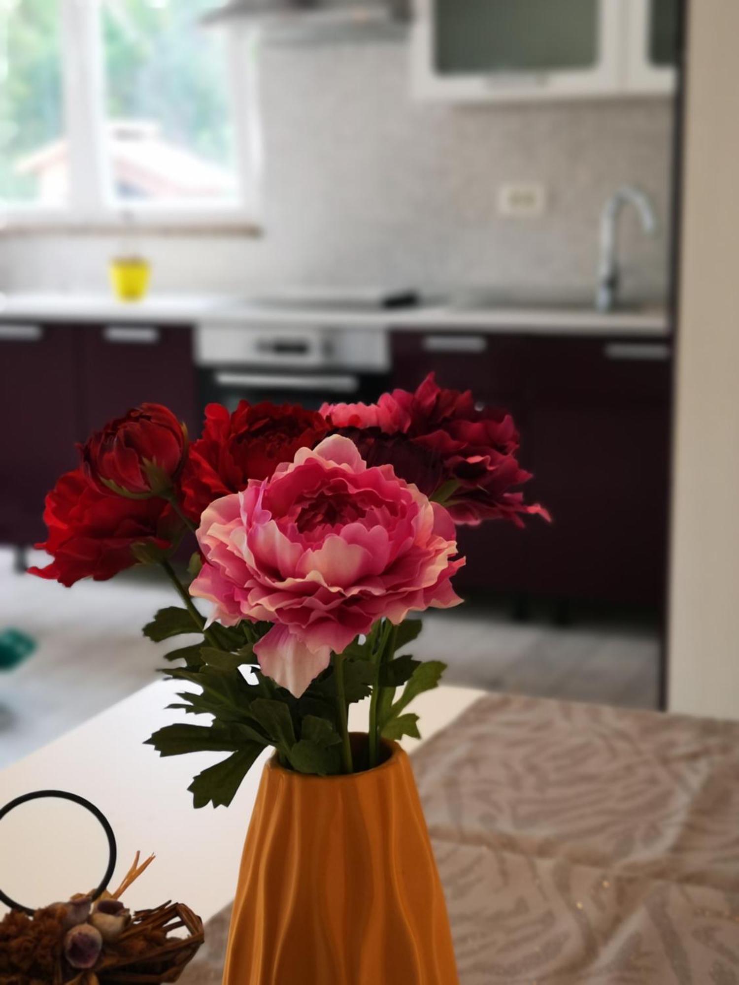 Apartmani "Sandro" Gonar Rab Town Bilik gambar