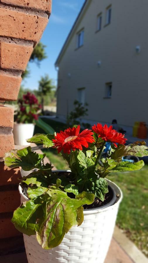 Apartmani "Sandro" Gonar Rab Town Luaran gambar
