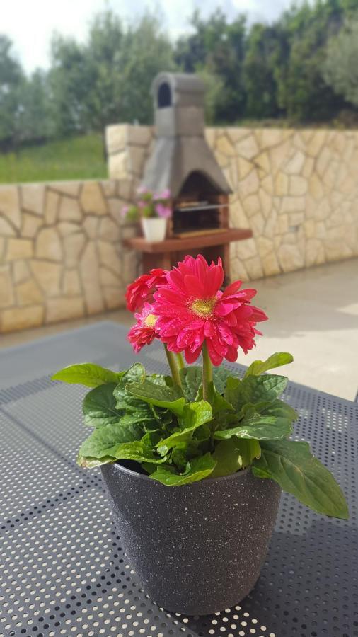 Apartmani "Sandro" Gonar Rab Town Luaran gambar